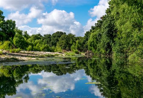 landscape of texas schertz tx